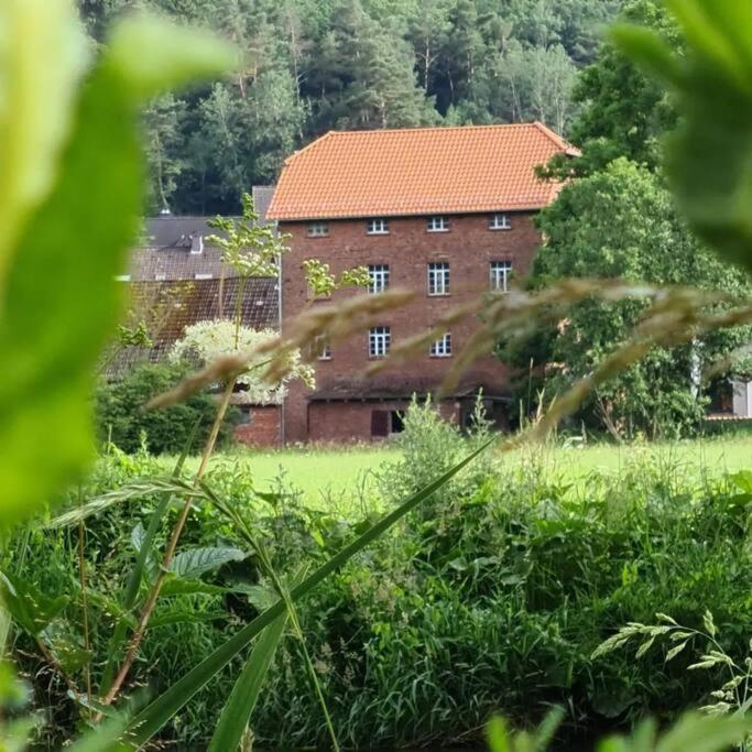 Lindenwohnung An Historischer Muehle Holzhausen  외부 사진